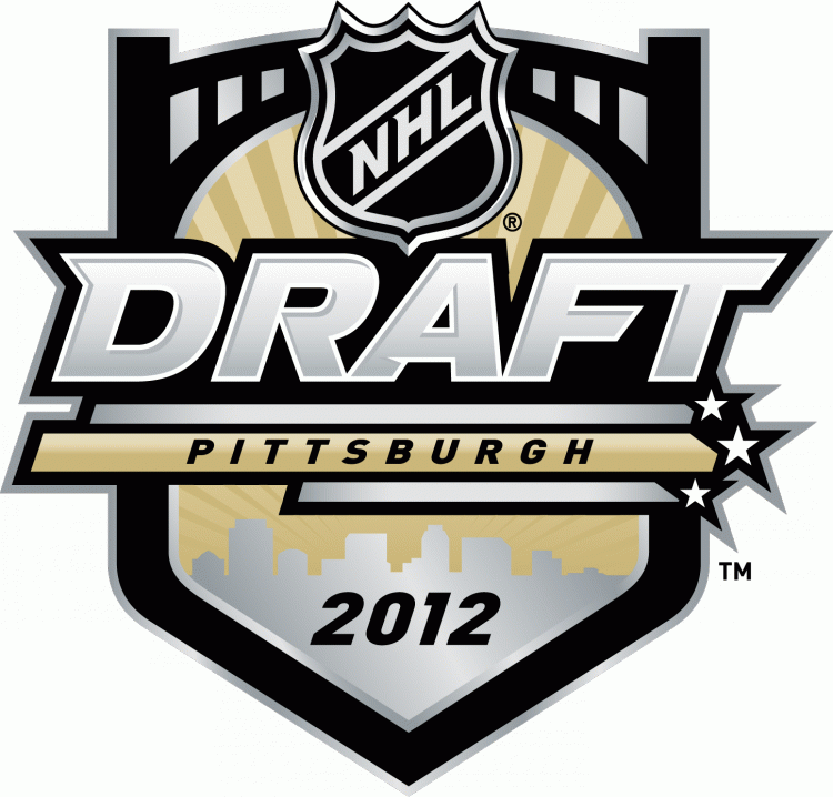 NHL Draft 2012 Primary Logo t shirts iron on transfers